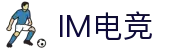 IM(股份有限公司)电竞-电子竞技平台